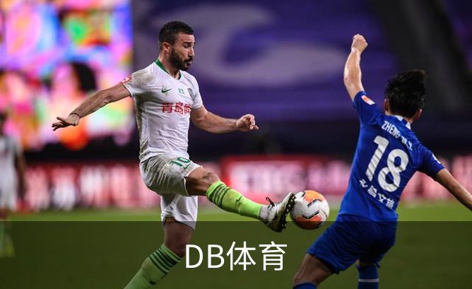 DB体育概况